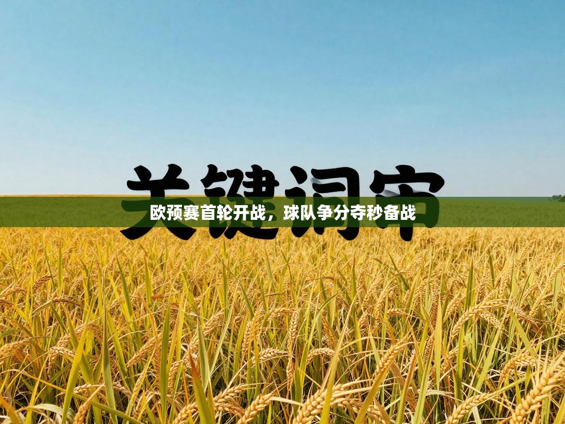 欧预赛首轮开战，球队争分夺秒备战  第1张