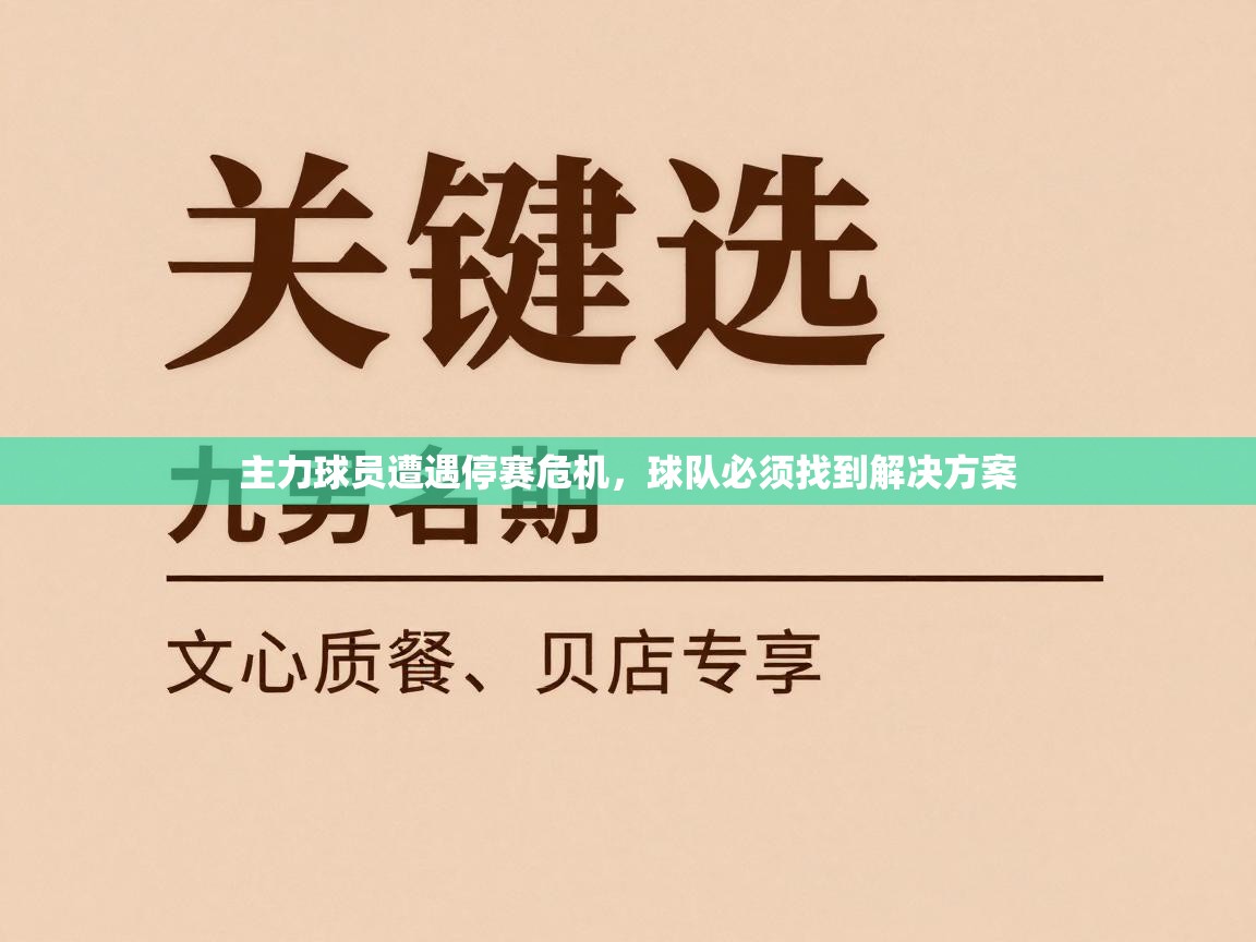 主力球员遭遇停赛危机，球队必须找到解决方案  第1张