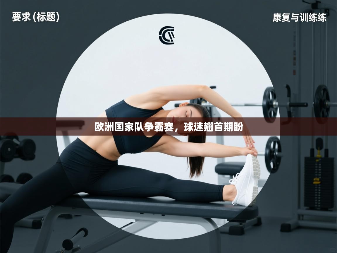 欧洲国家队争霸赛，球迷翘首期盼  第1张